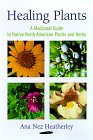 Healing Plants A Medicinal Guide